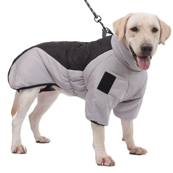 Winter Coat For Medium and Large Dogs