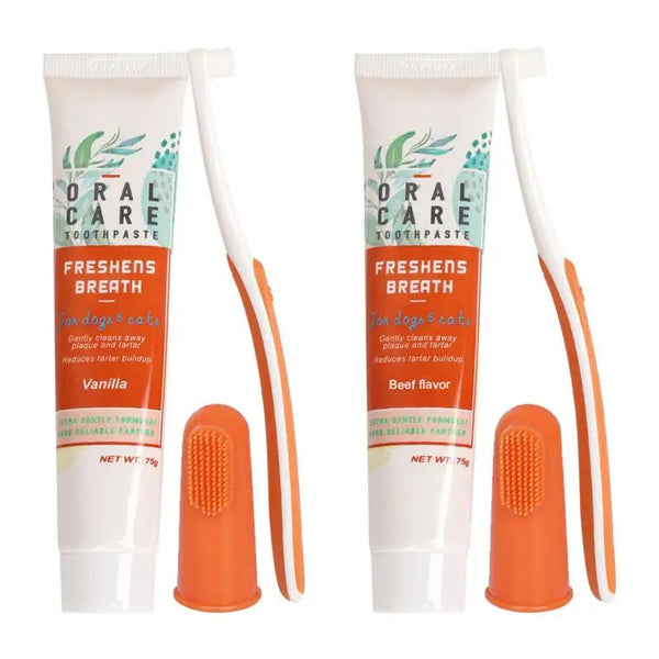 Edible Toothpaste & Toothbrush