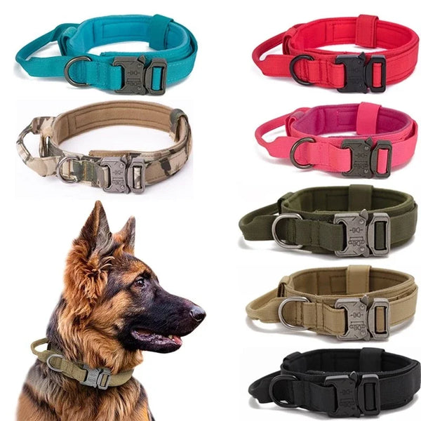 Tactical K9 Collar